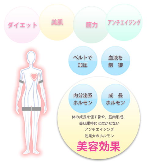 ダイエット 美肌 筋力 アンチエイジング